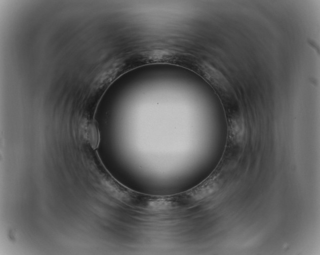 X0000097820470200803141144