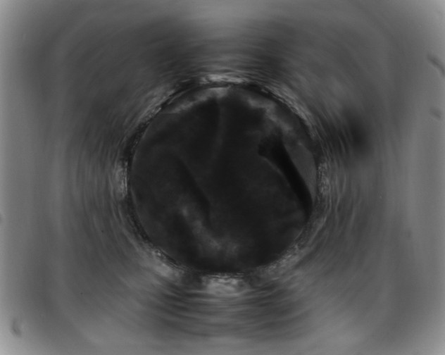 X0000097820471200803141144