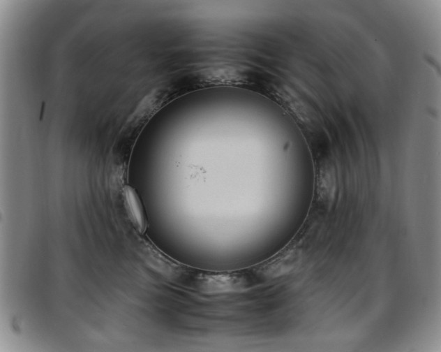 X0000097820473200803141145