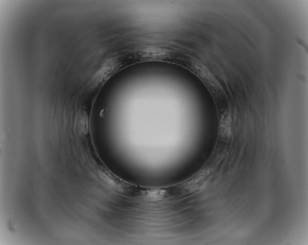 X0000097820474200803141145