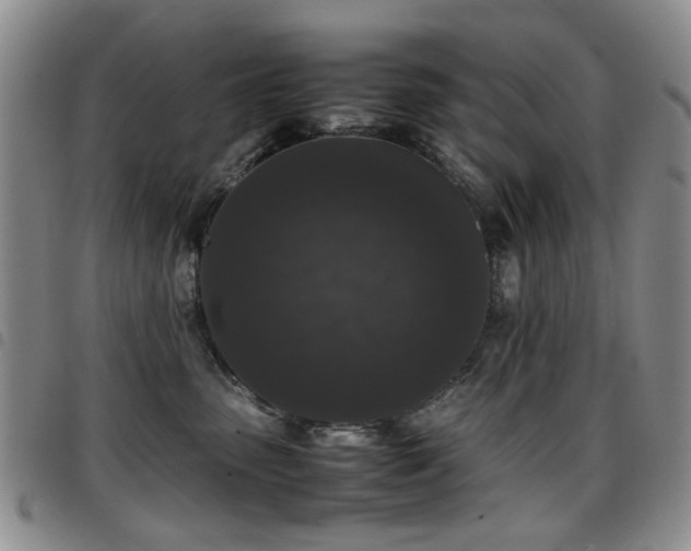 X0000097820475200803141145