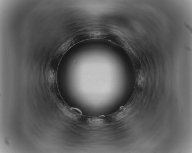 X0000097820476200803141145