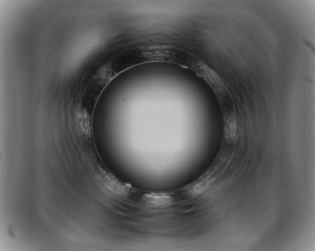 X0000097820477200803141145