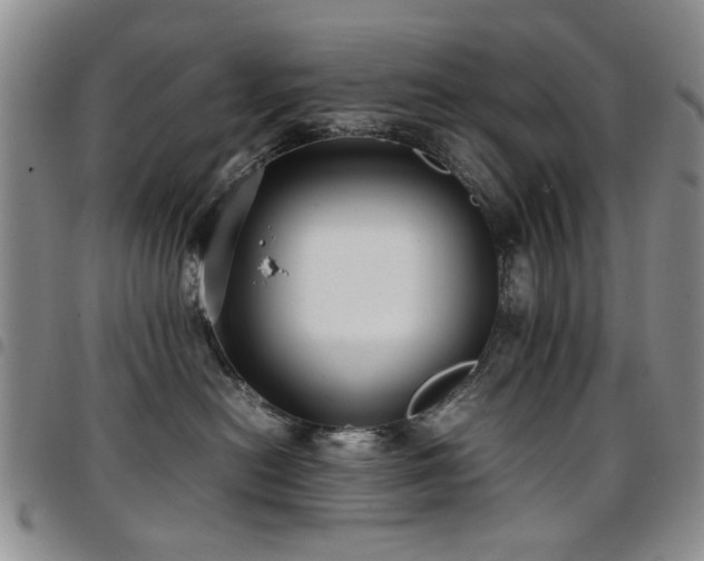 X0000097820478200803141145