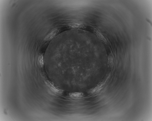 X0000097820479200803141145