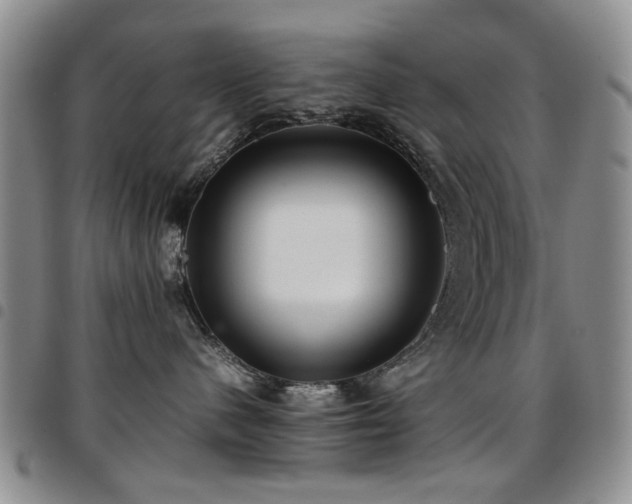 X0000097820480200803141145