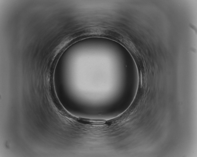 X0000097820483200803141144