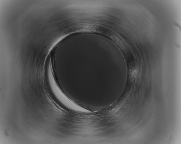 X0000097820484200803141144