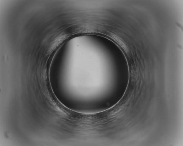 X0000097820485200803141144