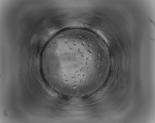 X0000097820487200803141144