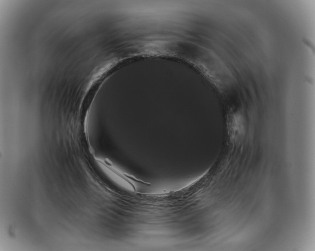 X0000097820488200803141144