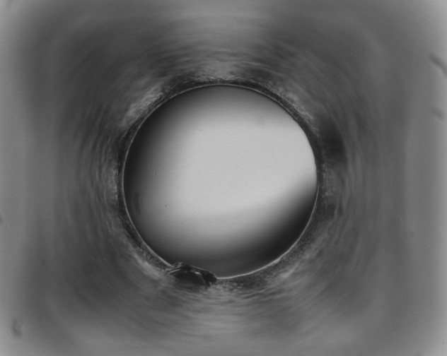 X0000097820489200803141144