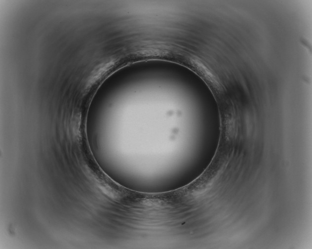 X0000097820490200803141144