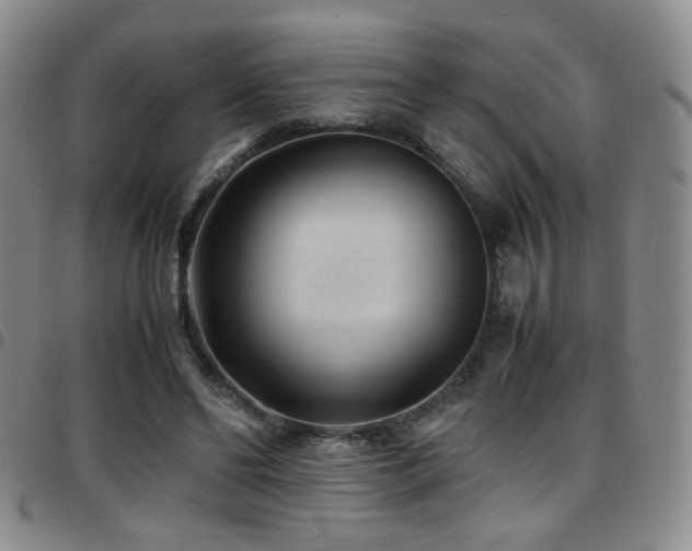 X0000097820494200803141144