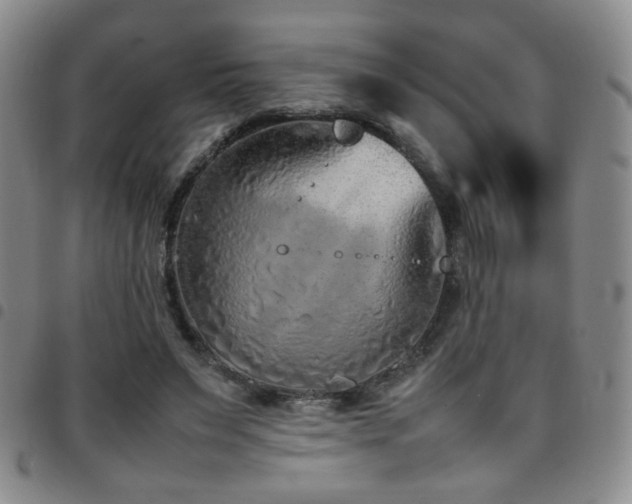 X0000097820495200803141144