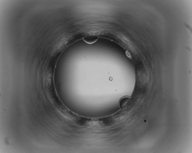 X0000097820499200803141144