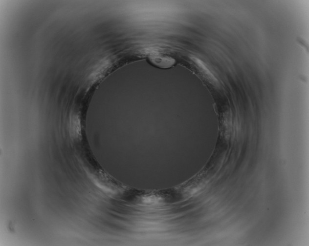 X0000097820500200803141144