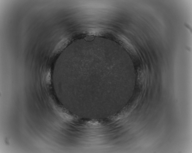 X0000097820502200803141144