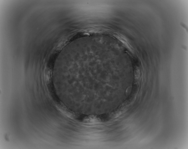 X0000097820503200803141144