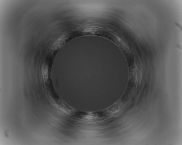 X0000097820504200803141144