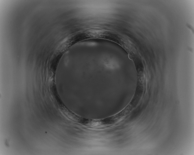 X0000097820507200803141144