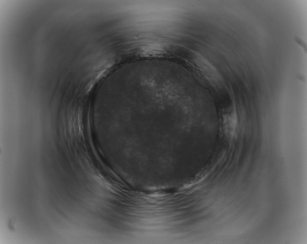 X0000097820508200803141144