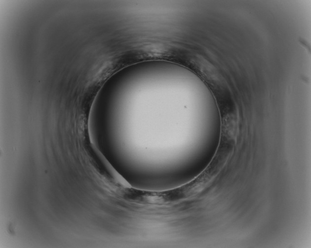 X0000097820509200803141144