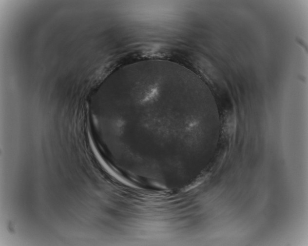 X0000097820513200803141144