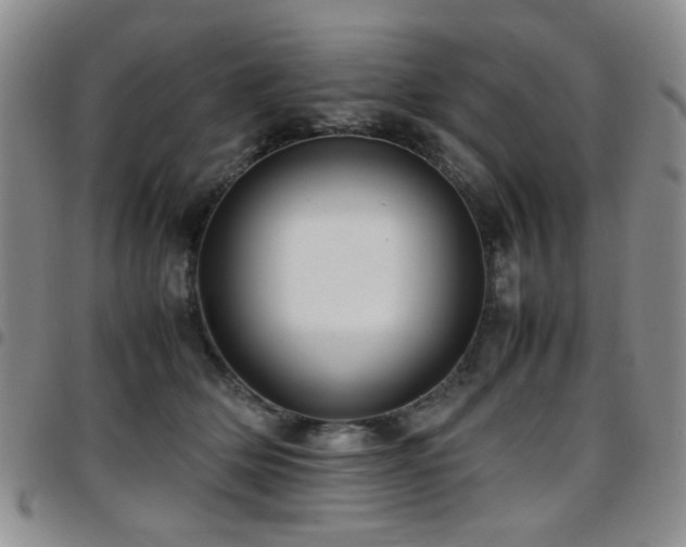 X0000097820514200803141144