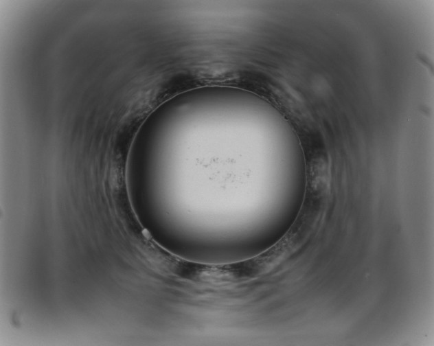 X0000097820515200803141144