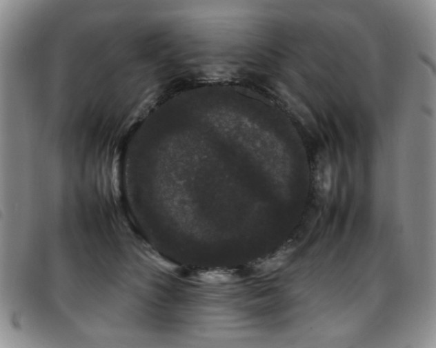 X0000097820516200803141143