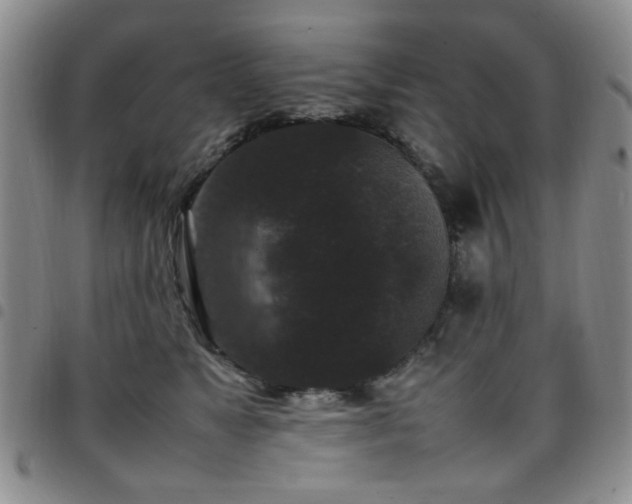 X0000097820517200803141143