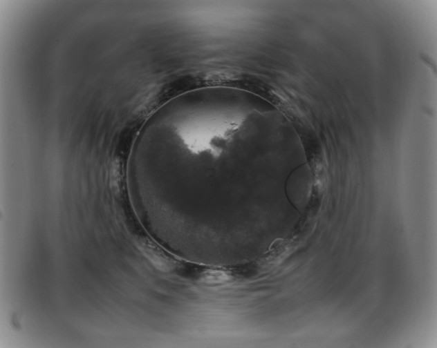 X0000097820519200803141143