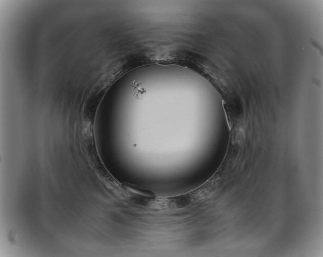 X0000097820521200803141143