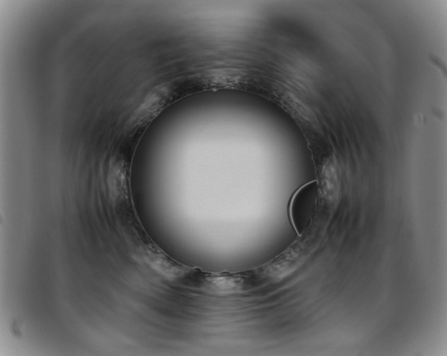 X0000097820522200803141143