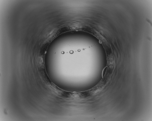 X0000097820523200803141143