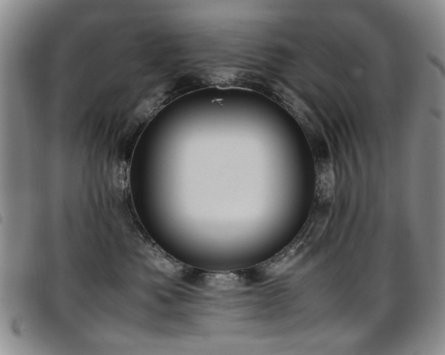 X0000097820525200803141143