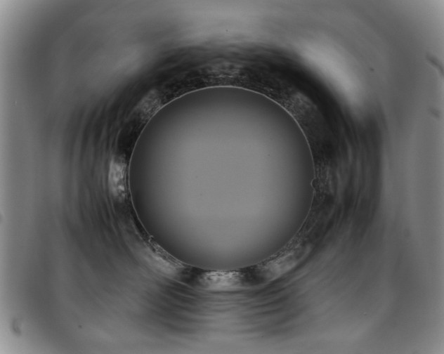 X0000097820526200803141143