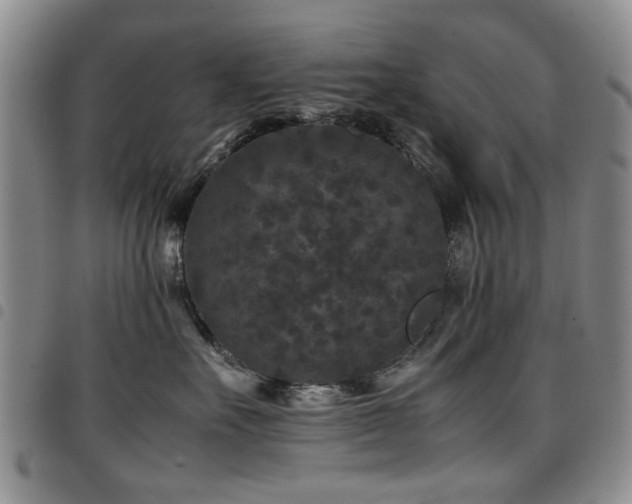 X0000097820527200803141143