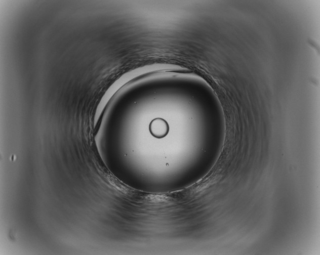 X0000097820528200803141143