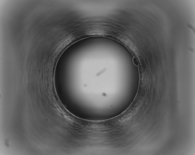 X0000097820529200803141143