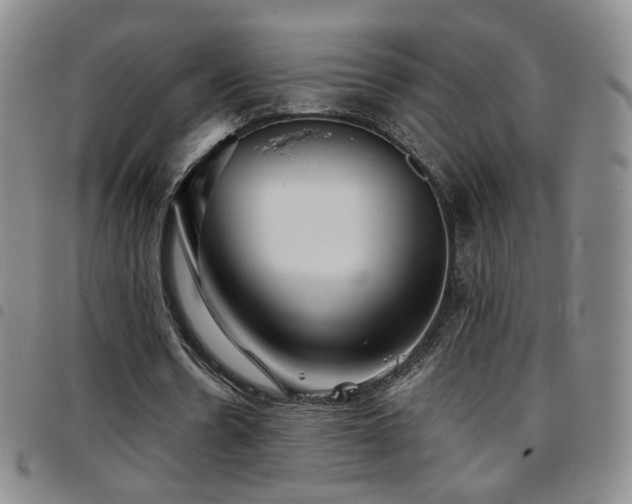 X0000097820530200803141143