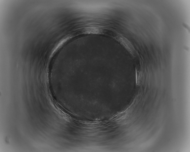 X0000097820531200803141143