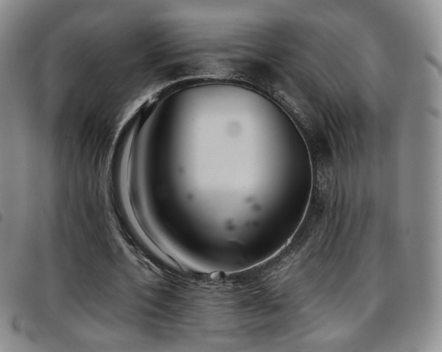 X0000097820532200803141143