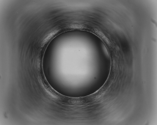 X0000097820533200803141143