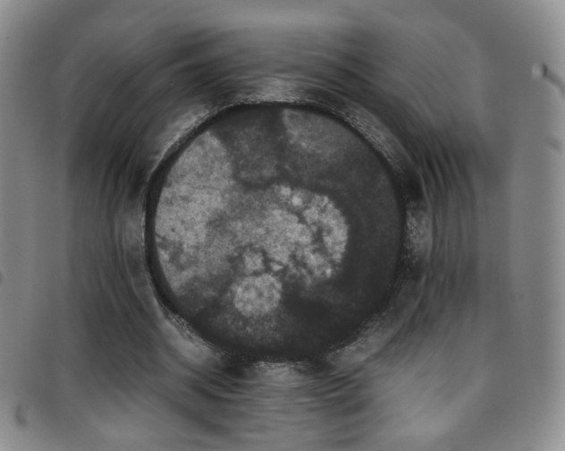 X0000097820534200803141143