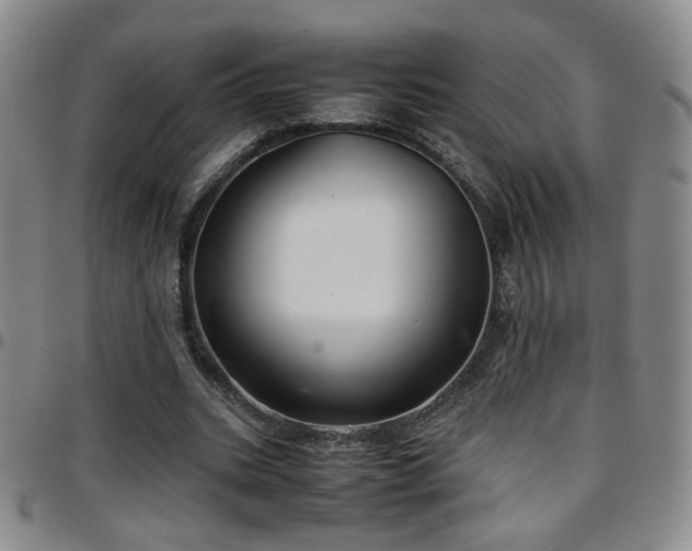 X0000097820535200803141143