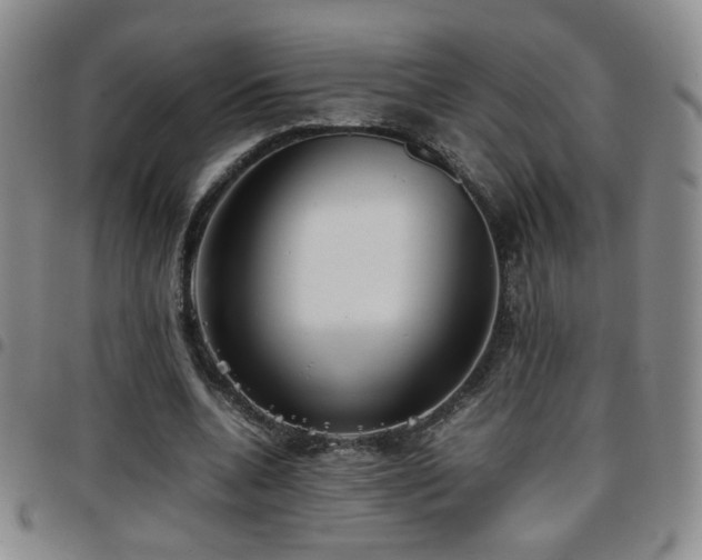 X0000097820536200803141143