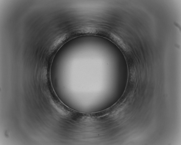 X0000097820538200803141143