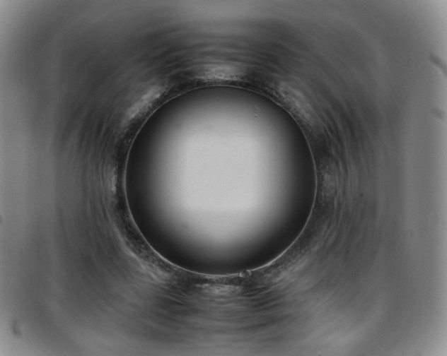 X0000097820539200803141143